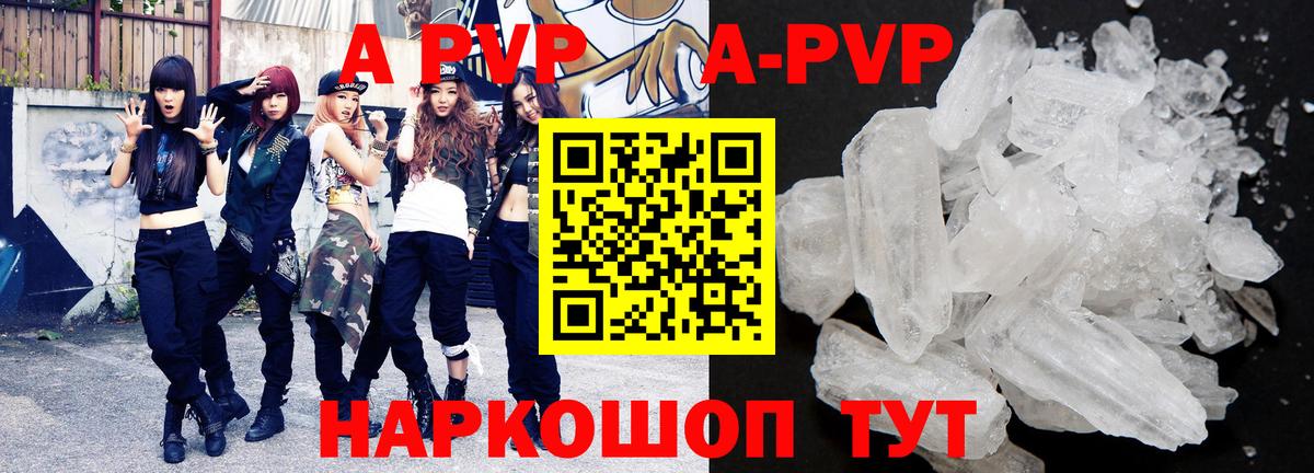 A-PVP СК Владивосток