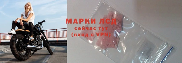 индика Абинск
