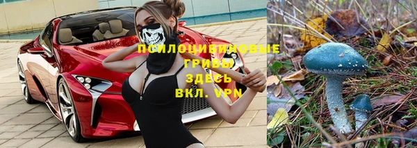 ГАЛЛЮЦИНОГЕННЫЕ ГРИБЫ Алексин