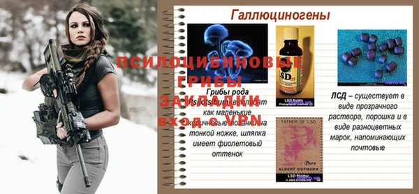 ГАЛЛЮЦИНОГЕННЫЕ ГРИБЫ Алексин