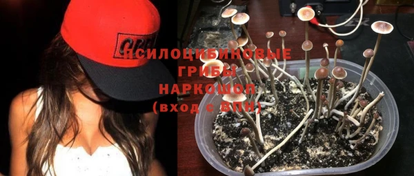 дмт Абаза