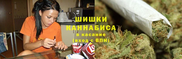 ГАЛЛЮЦИНОГЕННЫЕ ГРИБЫ Алексин