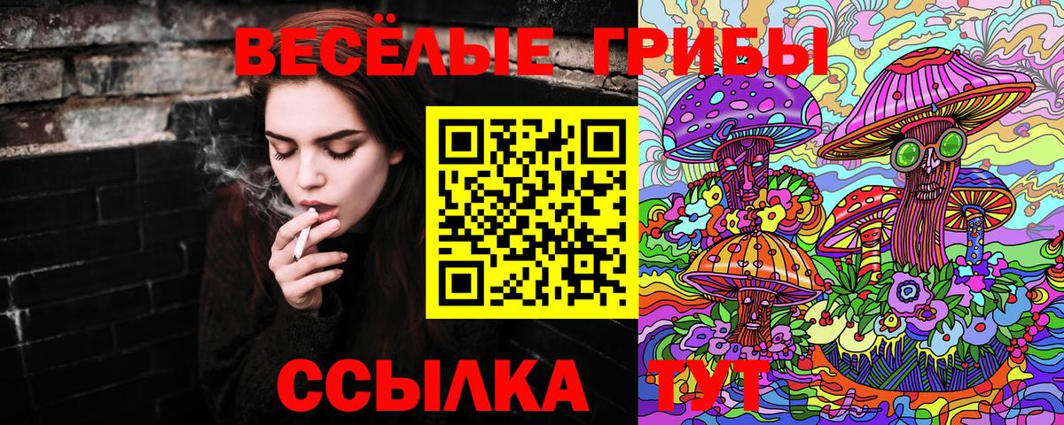 Галлюциногенные грибы Psilocybe Владивосток