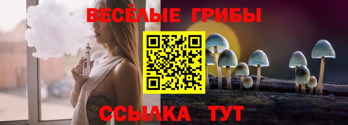 Галлюциногенные грибы Psilocybine cubensis  Вход с VPN  Псилоцибиновые грибы Psilocybe  Владивосток 