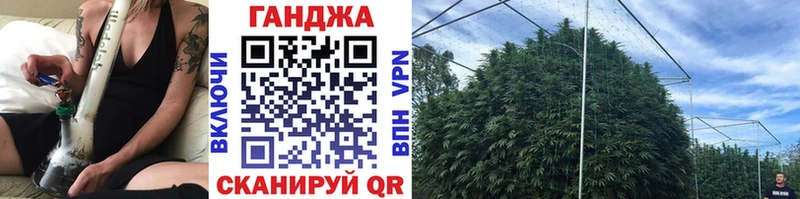 купить   Владивосток  Конопля семена 